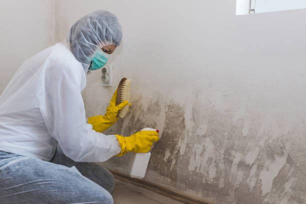 Best Airborne Mold Testing  in Sherwood, OR