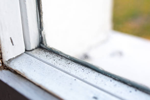 Best Mold Removal for HVAC Installations  in Sherwood, OR
