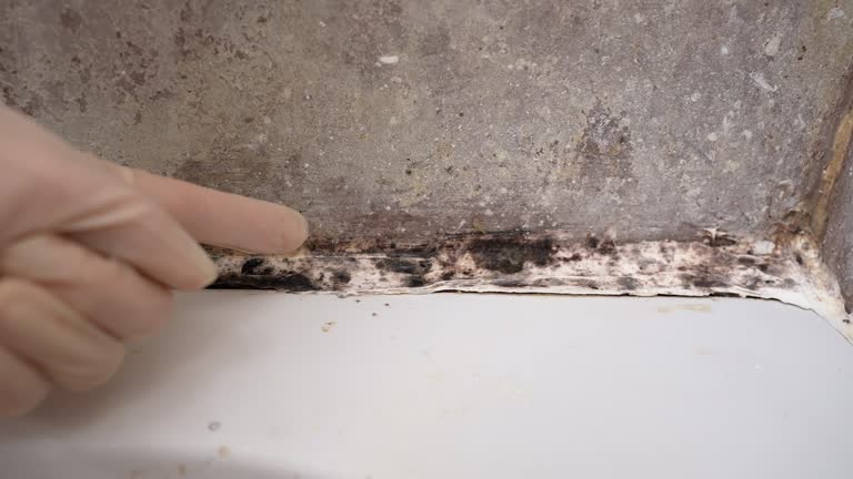 Best Real Estate Mold Inspection  in Sherwood, OR