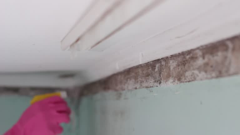 Best HVAC Mold Inspection and Cleaning  in Sherwood, OR