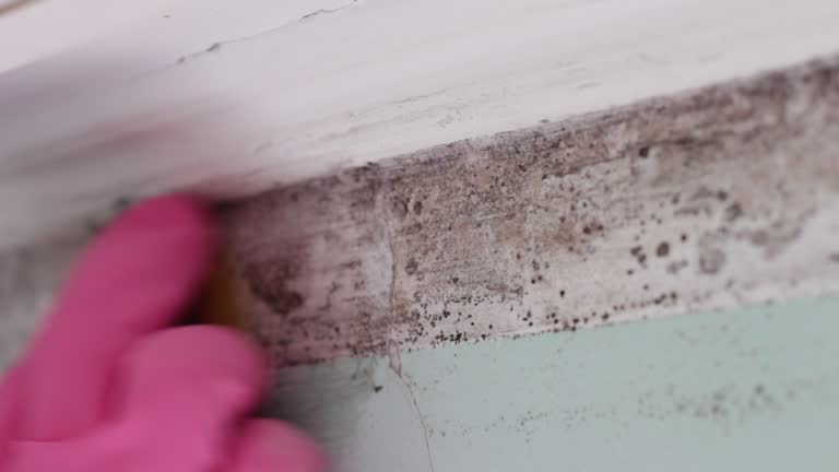 Best Mold Remediation for Healthcare Facilities  in Sherwood, OR